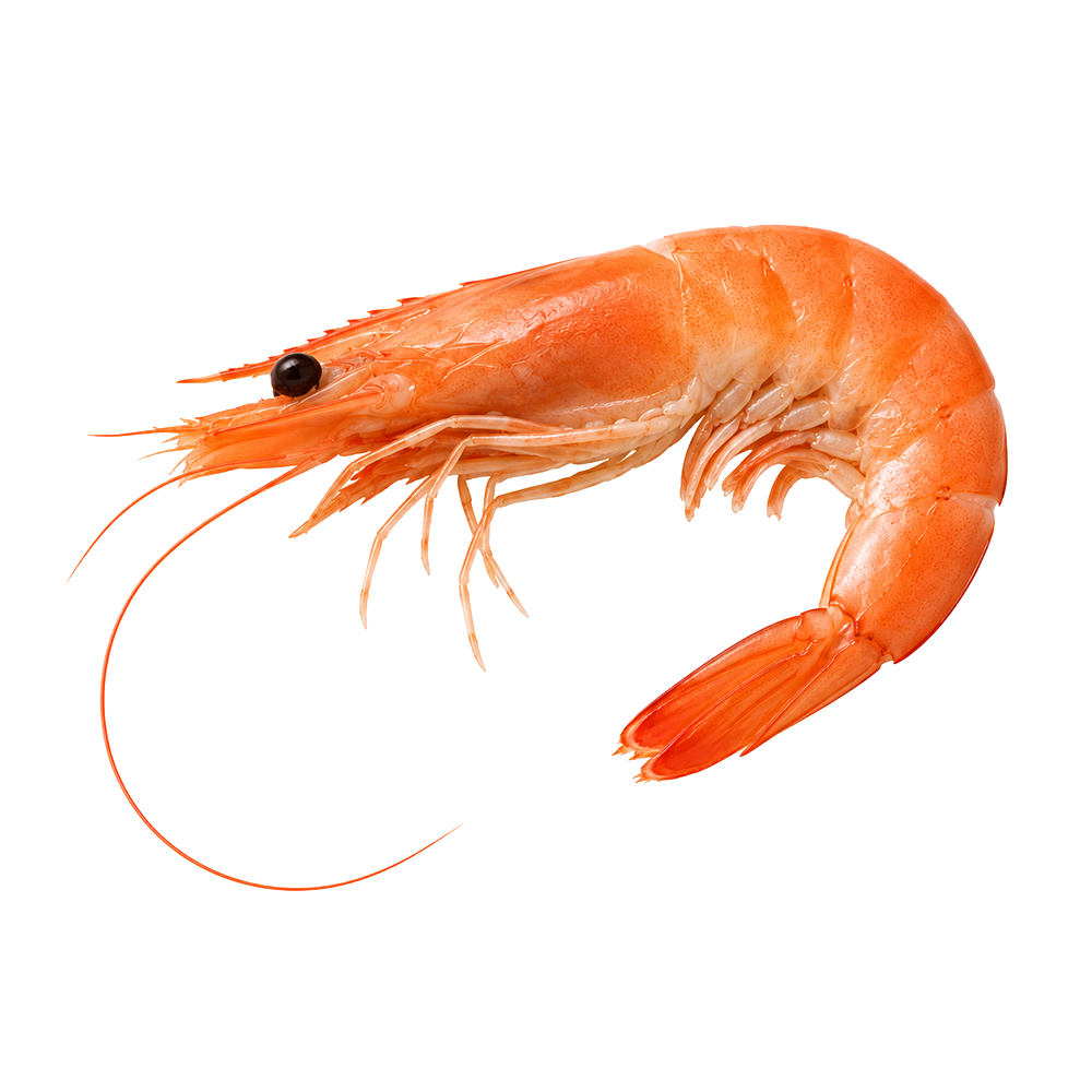 キトサン
